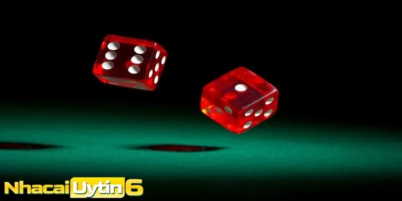 Trải nghiệm một số phiên bản xí ngầu được yêu thích nhất
