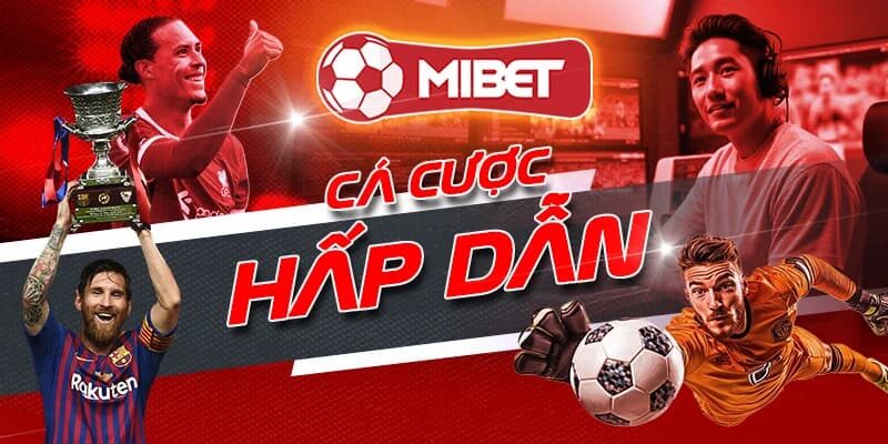 Mibet là nhà cái bóng đá uy tín