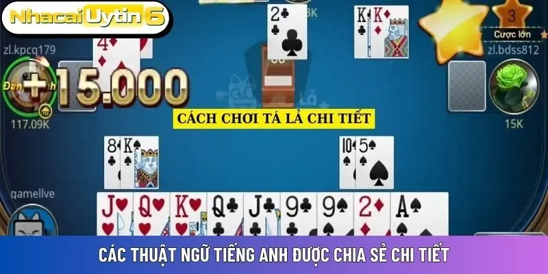 Các thuật ngữ tiếng Anh được chia sẻ chi tiết