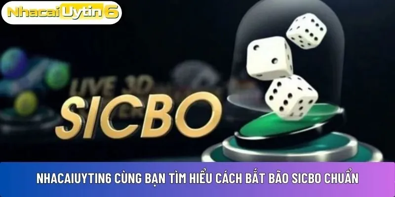 Cách bắt bão sicbo