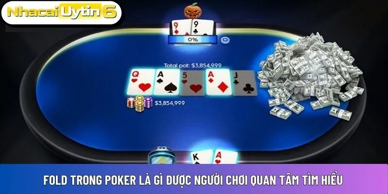 Fold trong poker là gì được người chơi quan tâm tìm hiểu