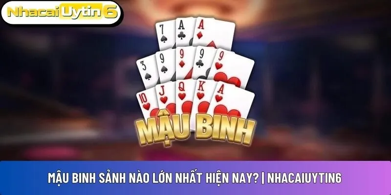 Mậu binh sảnh nào lớn nhất
